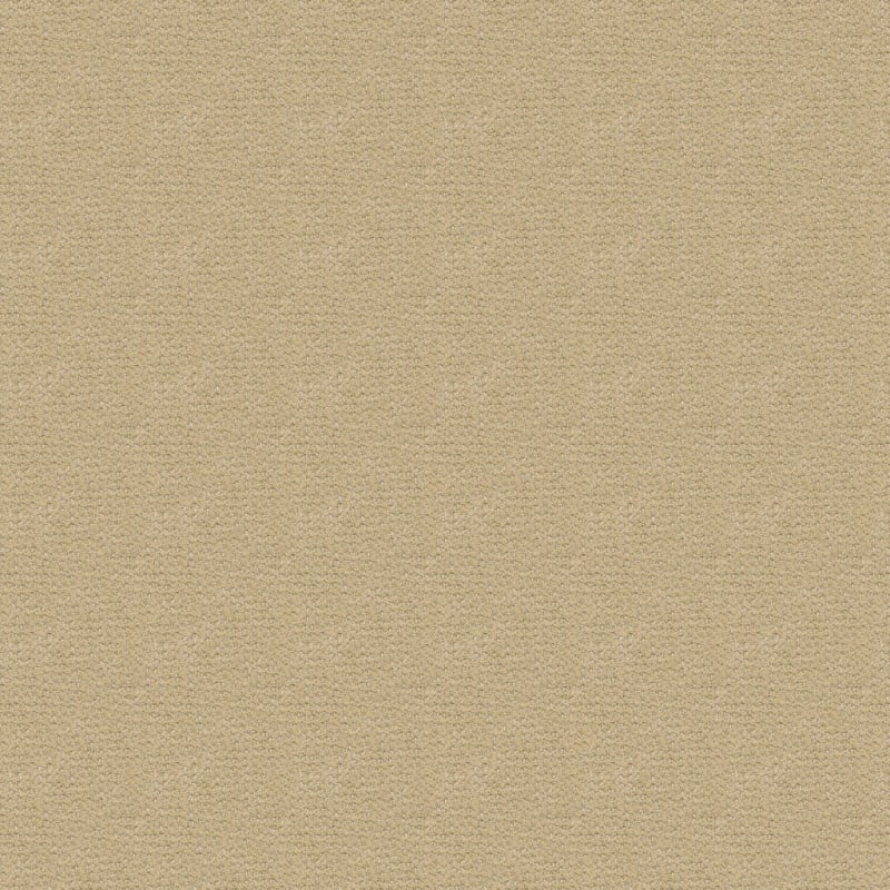 Alpha carpet by Masland