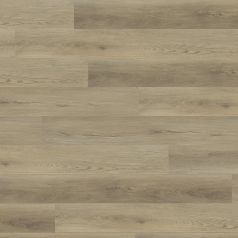 TX101 carpet by TRUCOR®