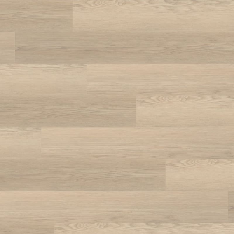Tymbr Select carpet by TRUCOR®