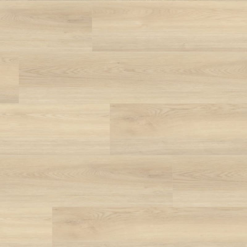 Prime XL 12 carpet by TRUCOR®