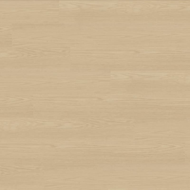 Bravo carpet by TRUCOR®
