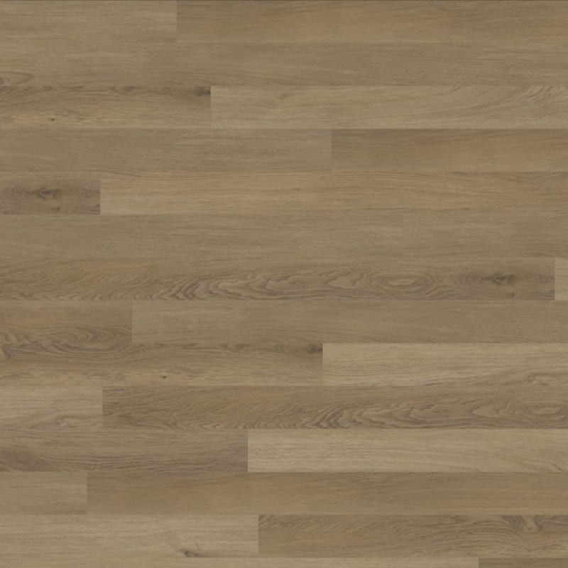 Prime 4 carpet by TRUCOR®