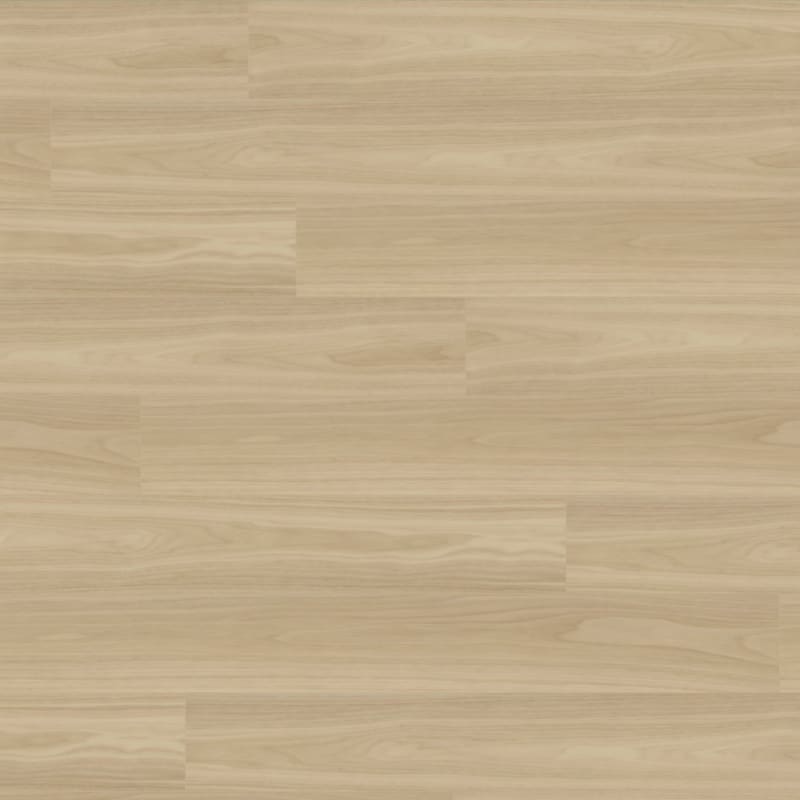 Bravo carpet by TRUCOR®