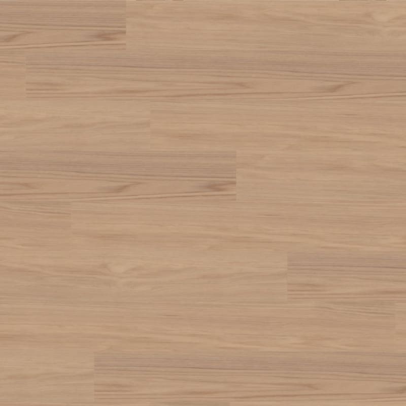Bravo carpet by TRUCOR®