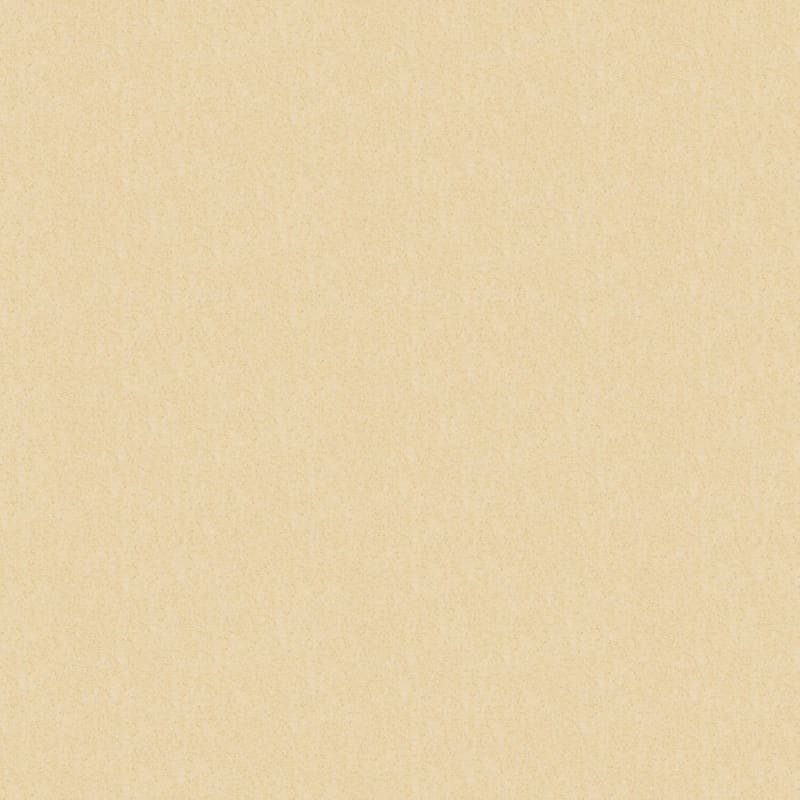 Spirit carpet by Dixie Home