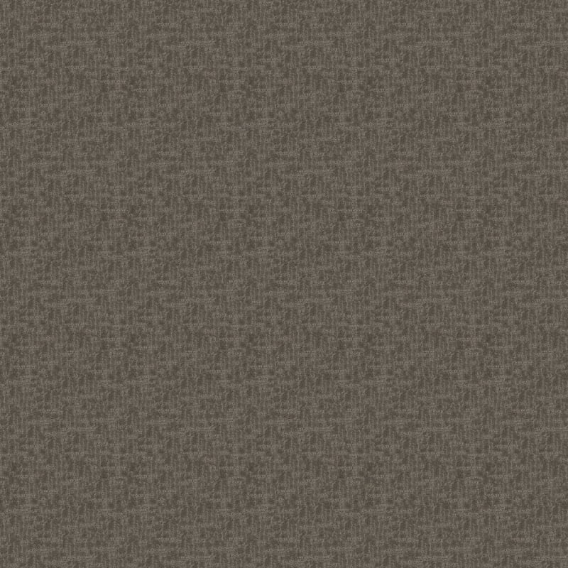 Amazing carpet by Dixie Home
