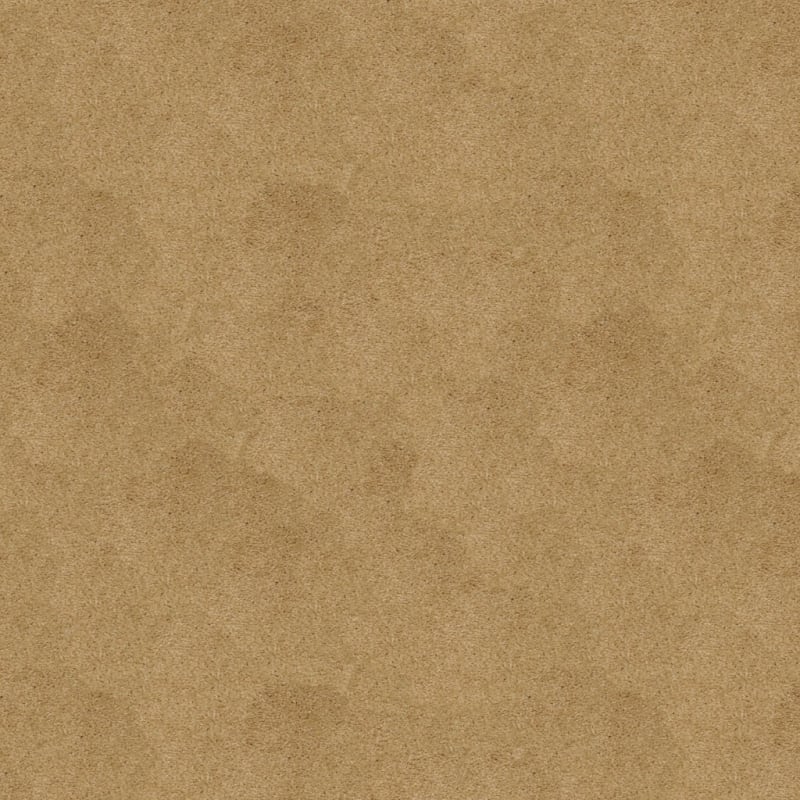 Soft & Silky carpet by Dixie Home