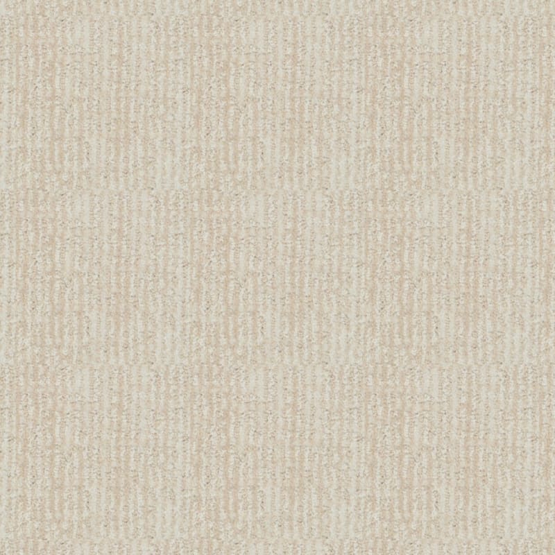 Seagate carpet by Dixie Home