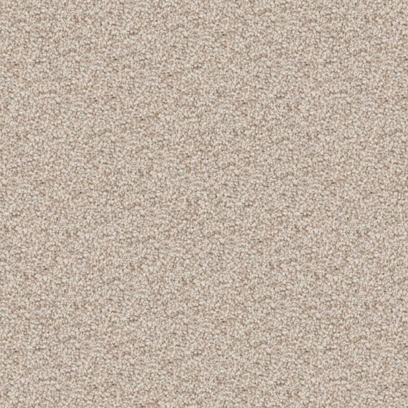 Great Dane carpet by Dixie Home
