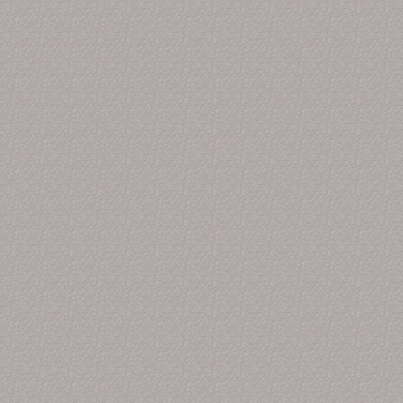Attributes carpet by Dixie Home