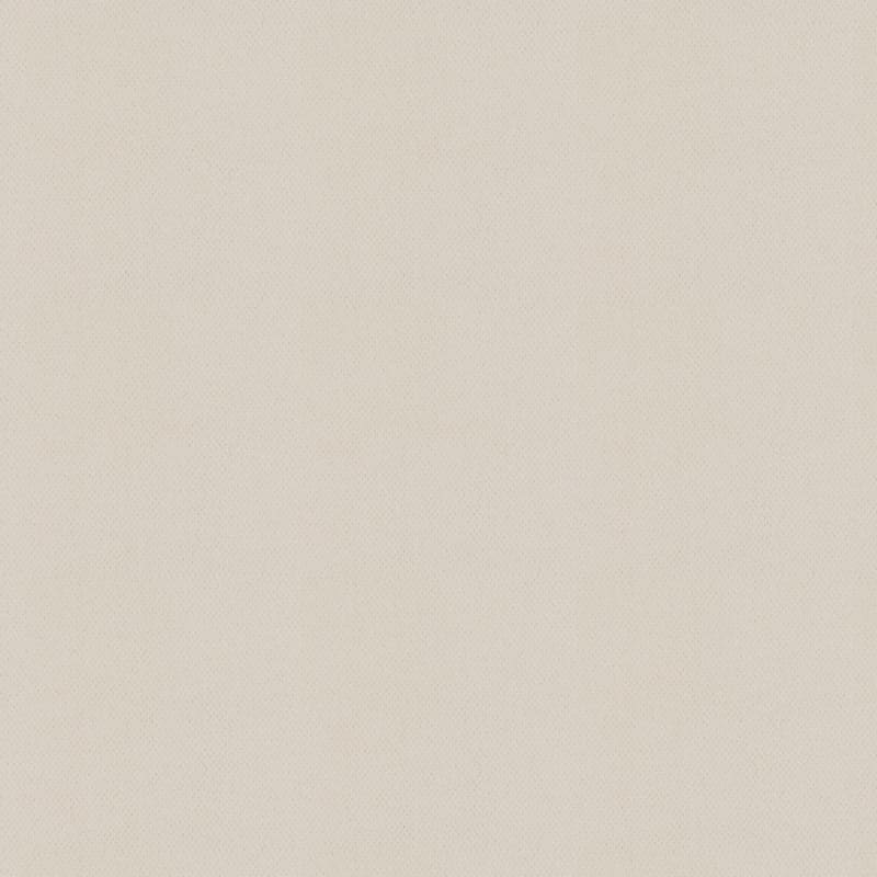 Dx300 carpet by Dixie Home