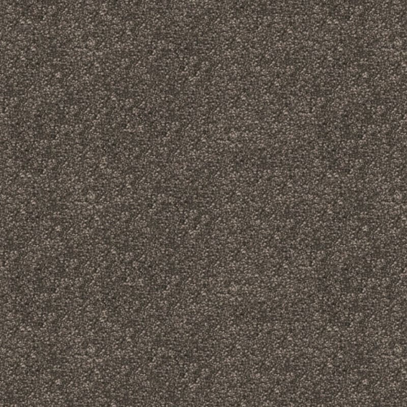 Dx169 carpet by Dixie Home