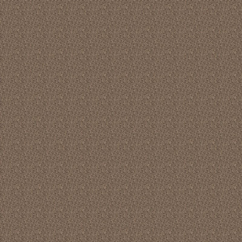 Chromatic Touch carpet by Dixie Home