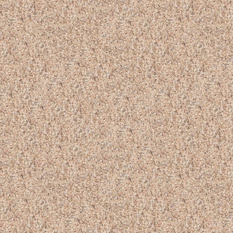 Husky carpet by Dixie Home