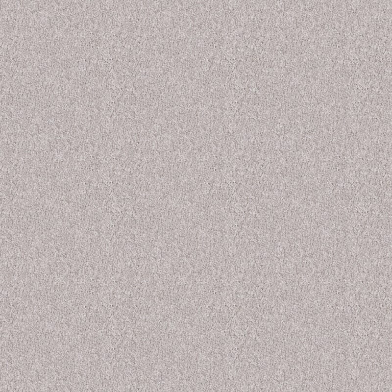 Dx835 carpet by Dixie Home
