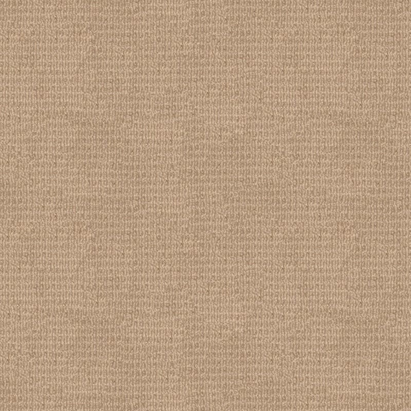 Yucatan carpet by Dixie Home