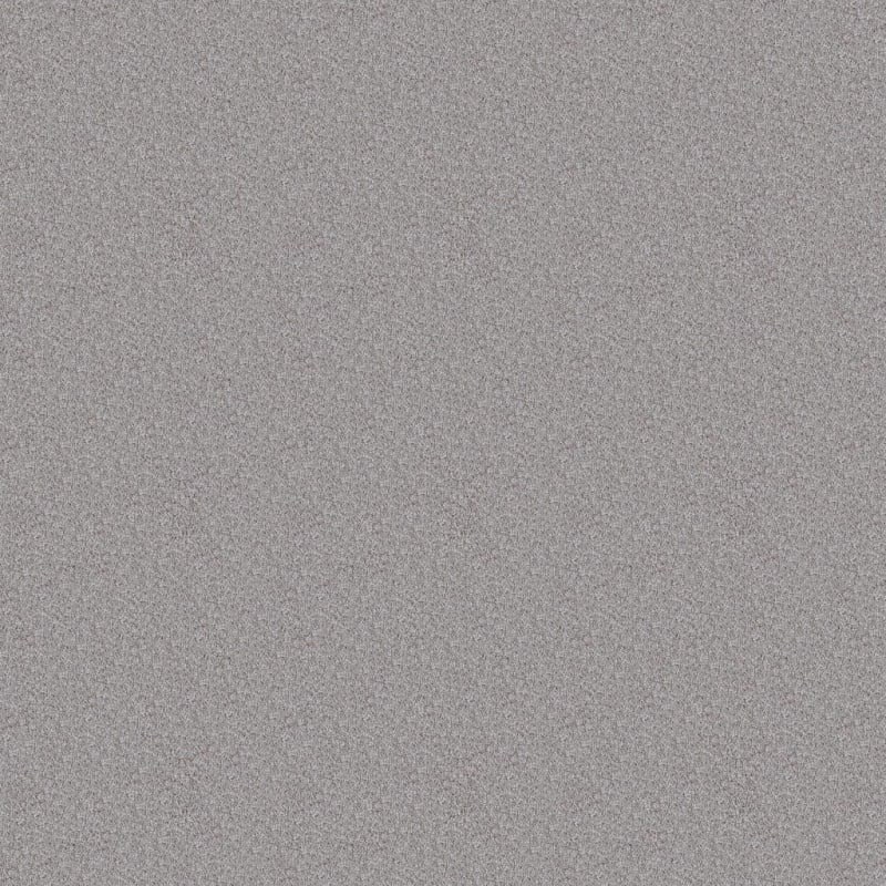Dx150 carpet by Dixie Home