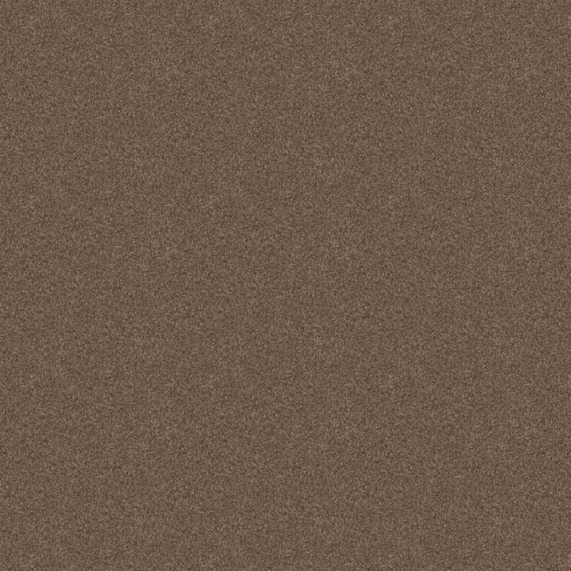 Shepherd carpet by Dixie Home