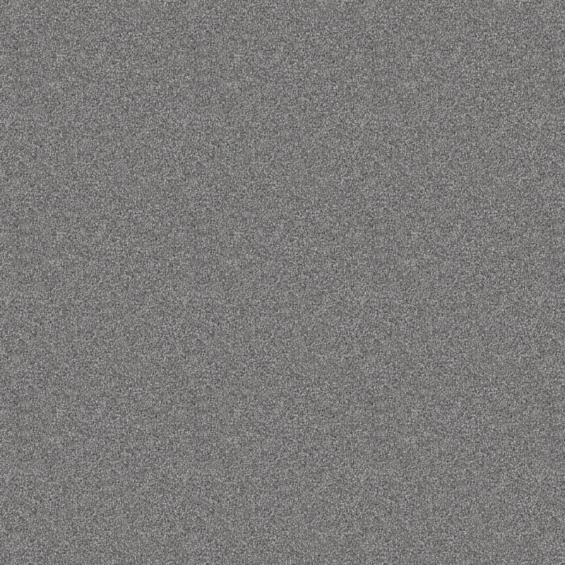 Dx836 carpet by Dixie Home