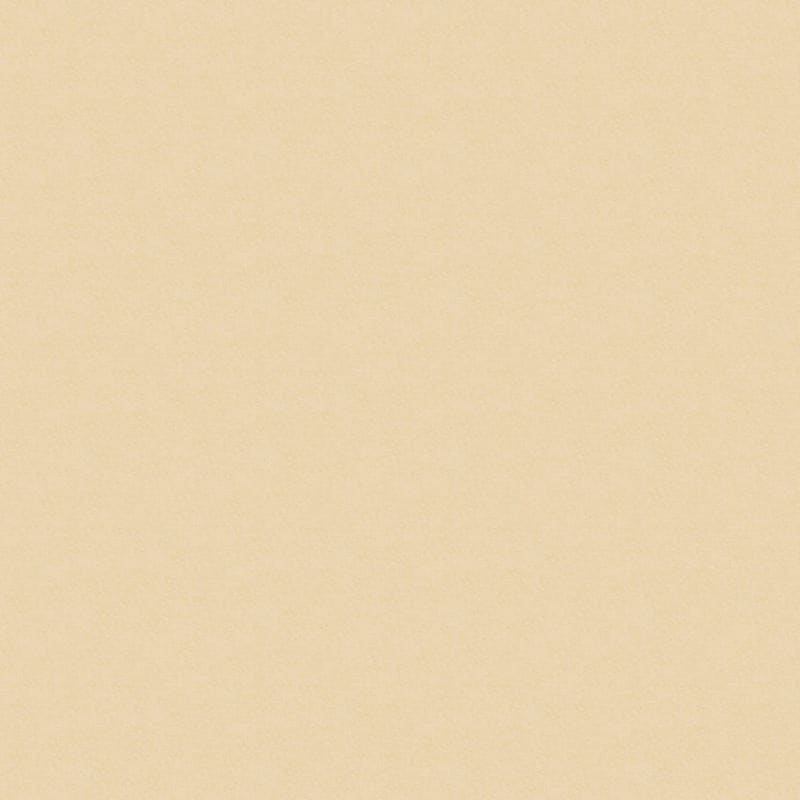 Inspiring carpet by Dixie Home