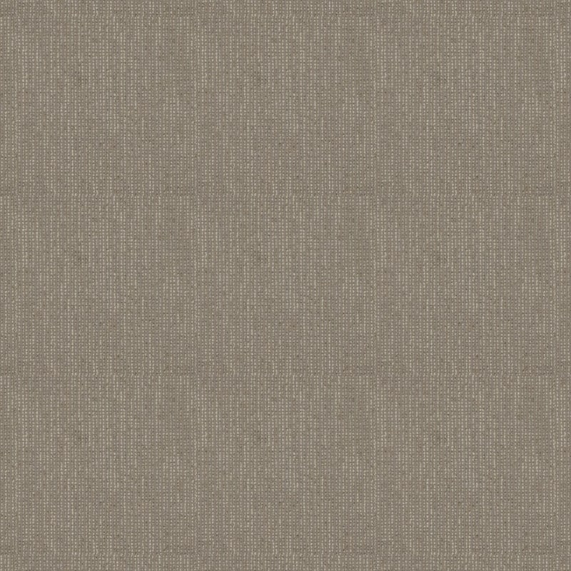 Appealing carpet by Dixie Home