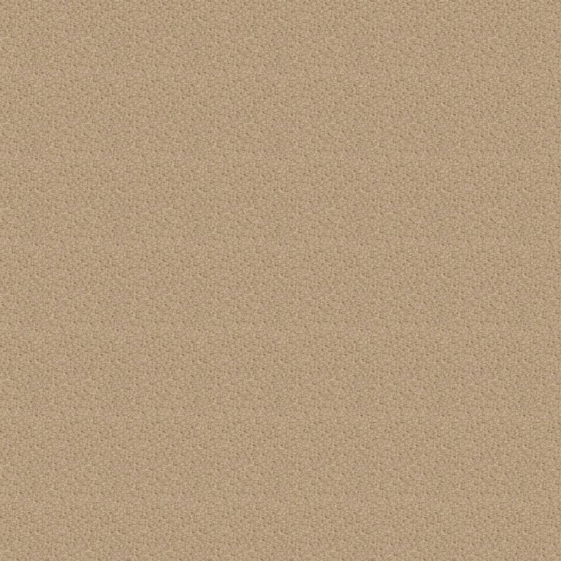 Innovations carpet by Dixie Home