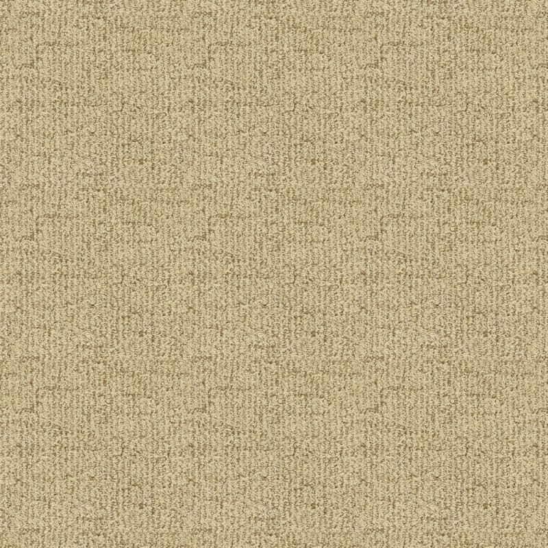 Victor carpet by Dixie Home