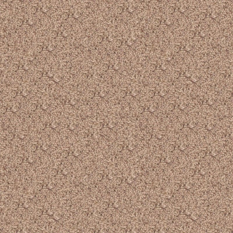 Husky carpet by Dixie Home