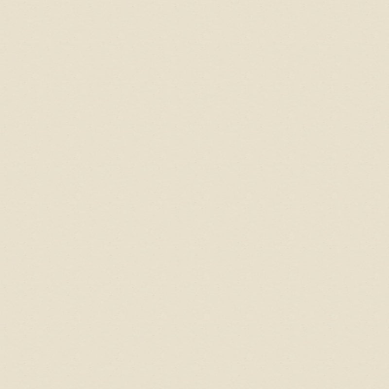 Attributes carpet by Dixie Home