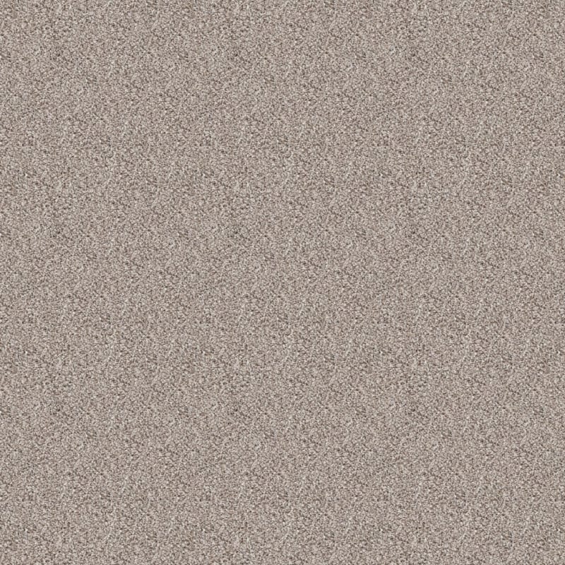 Akita carpet by Dixie Home
