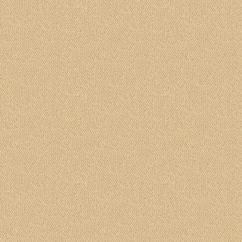 Hideaway carpet by Dixie Home