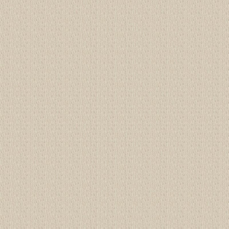 Advocate carpet by Dixie Home