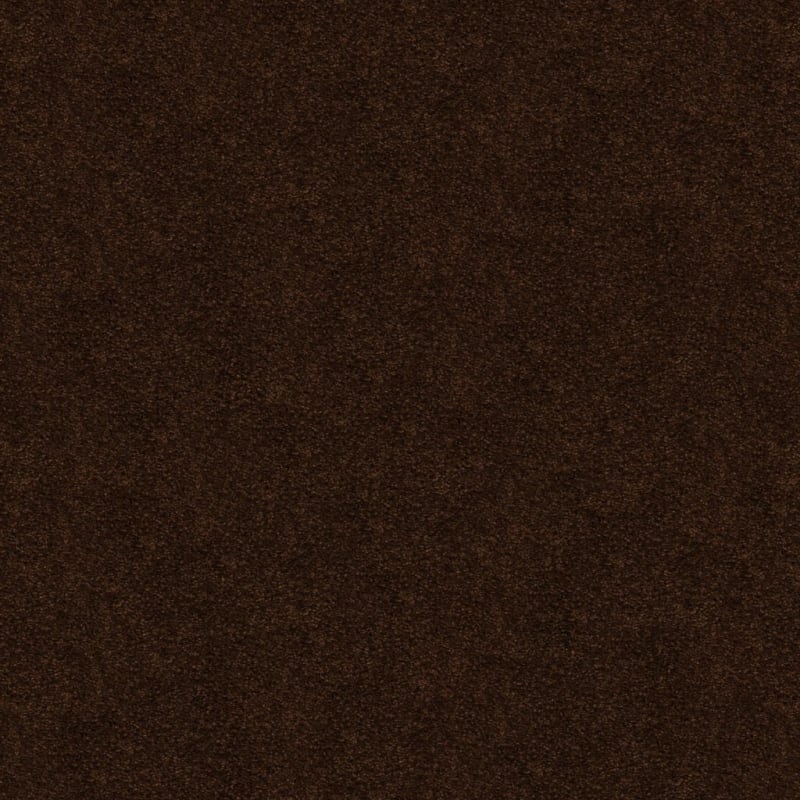 Soft & Silky carpet by Dixie Home