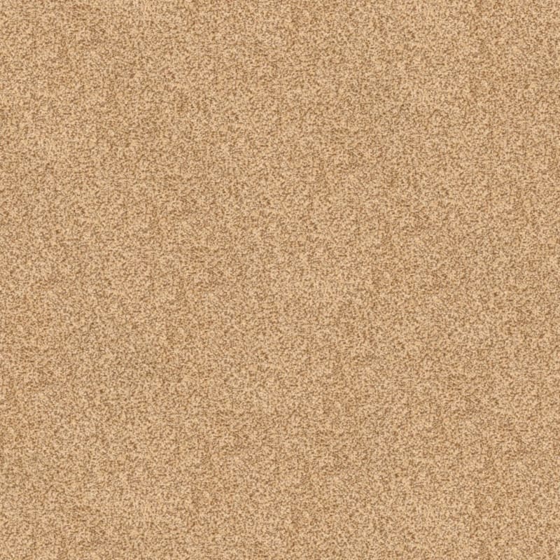 True Comfort carpet by Dixie Home