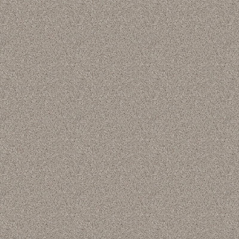 Dx840 carpet by Dixie Home