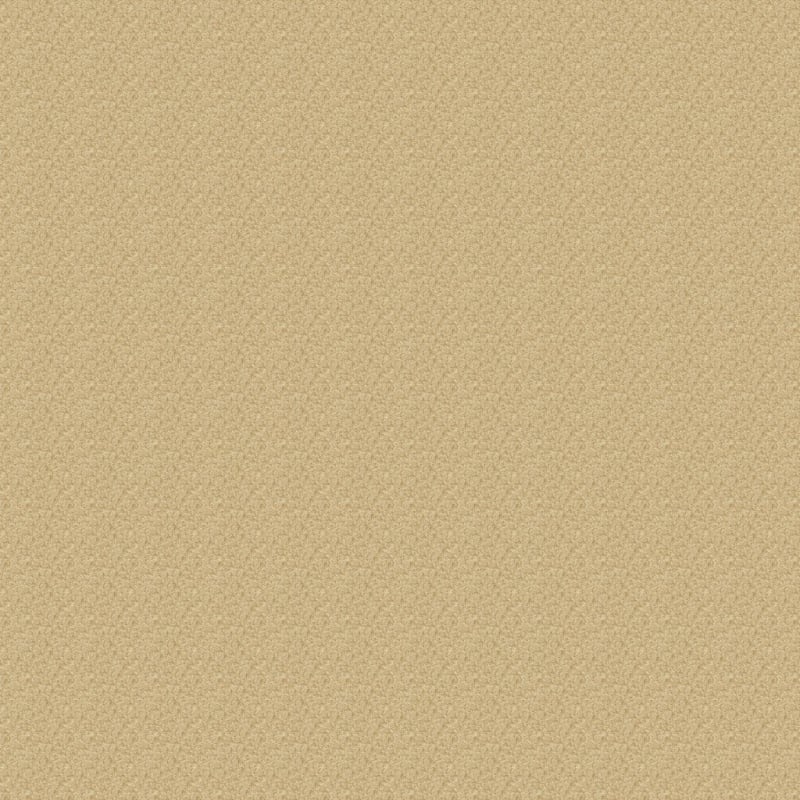 Magic Moment carpet by Dixie Home