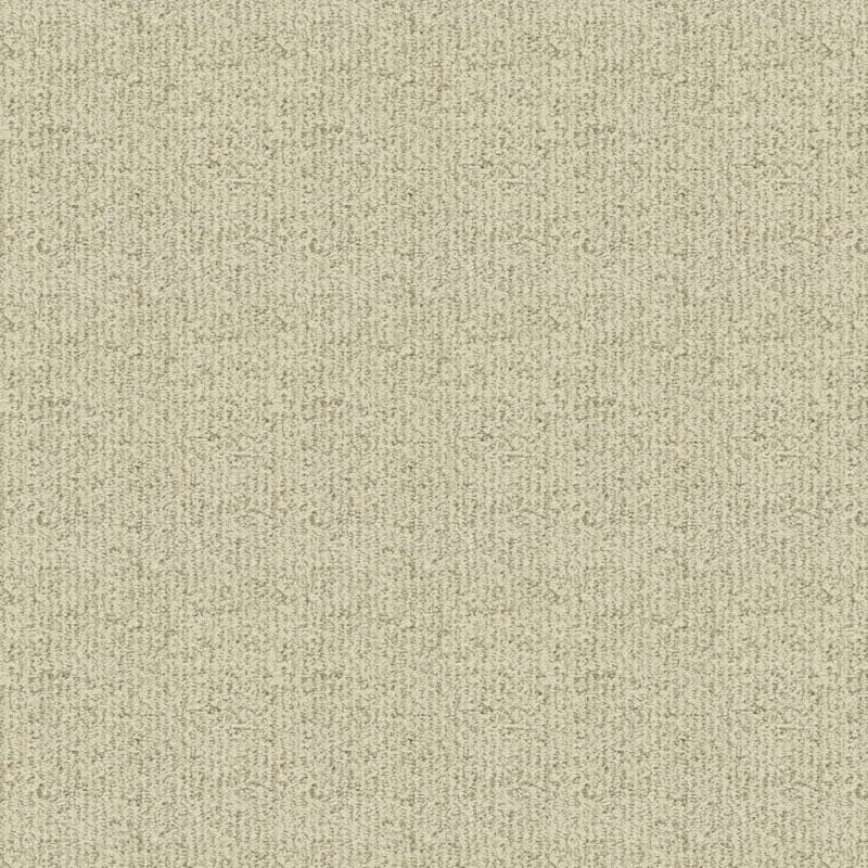 Victor carpet by Dixie Home