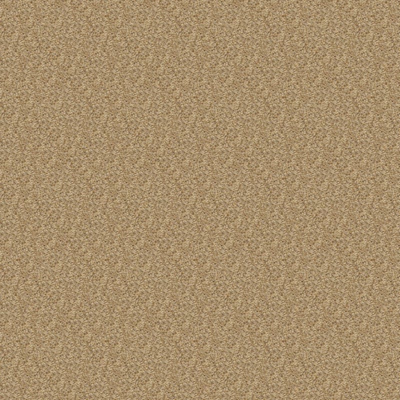 Color Festival carpet by Dixie Home