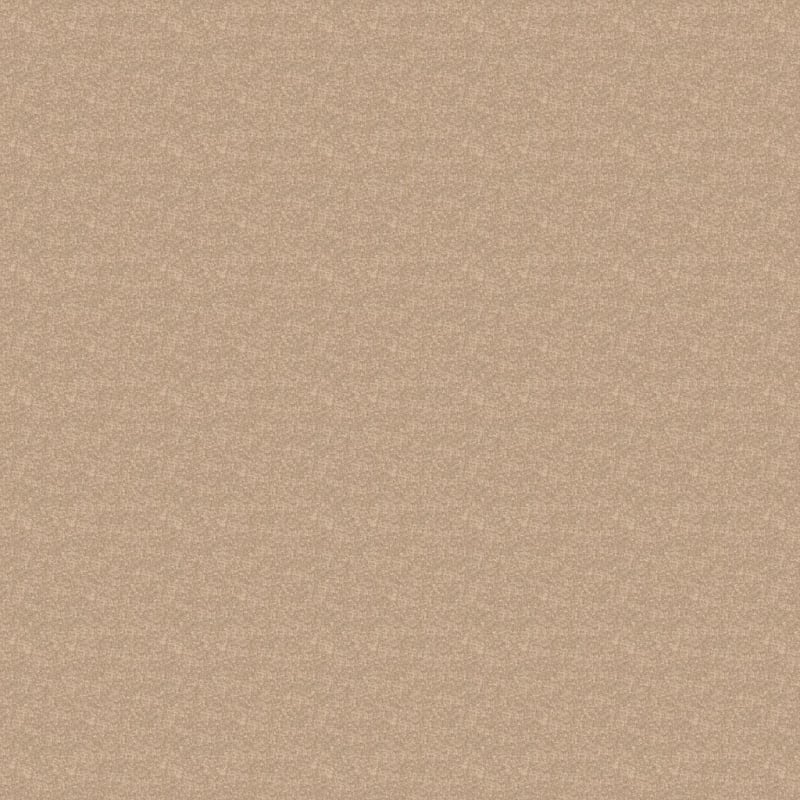 Inspiring carpet by Dixie Home