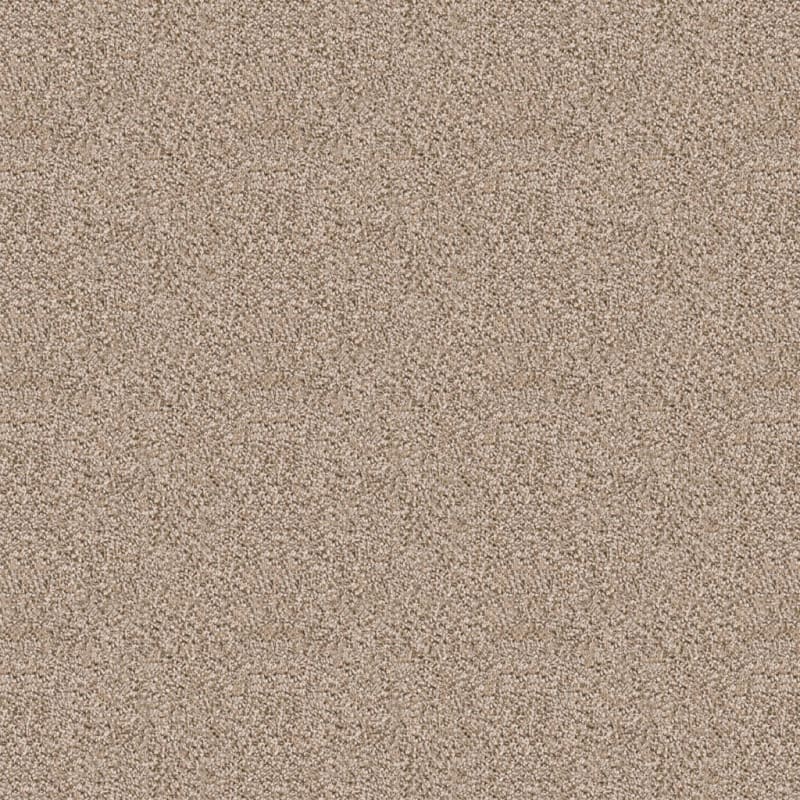 Dx118 carpet by Dixie Home