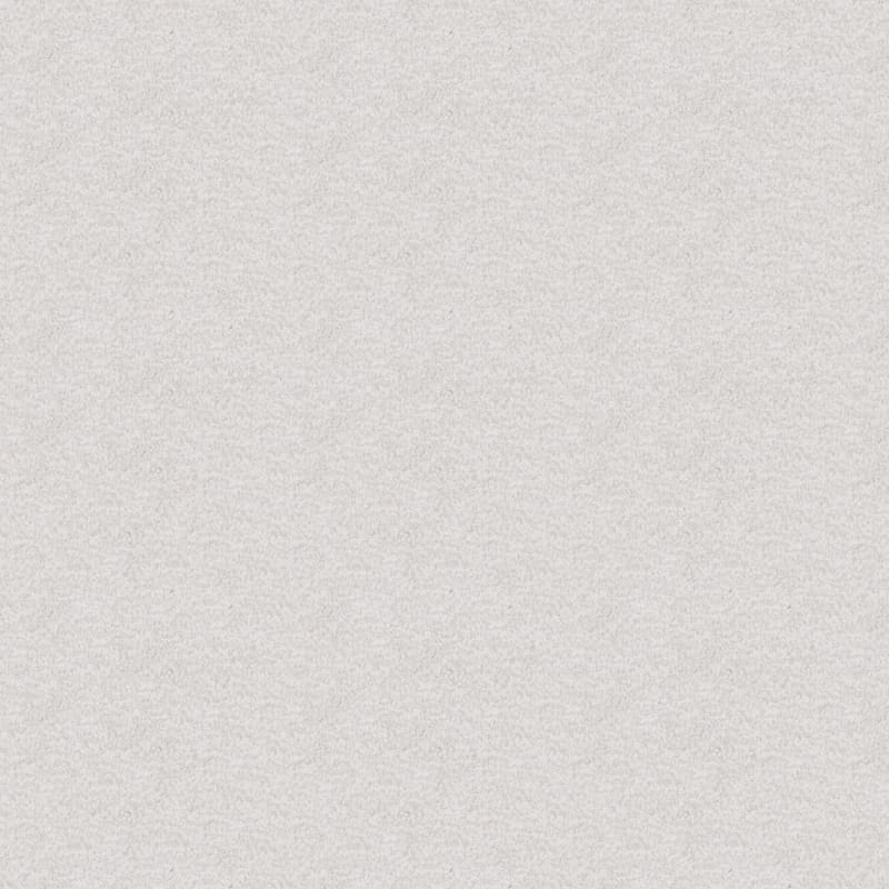 Dx220 carpet by Dixie Home