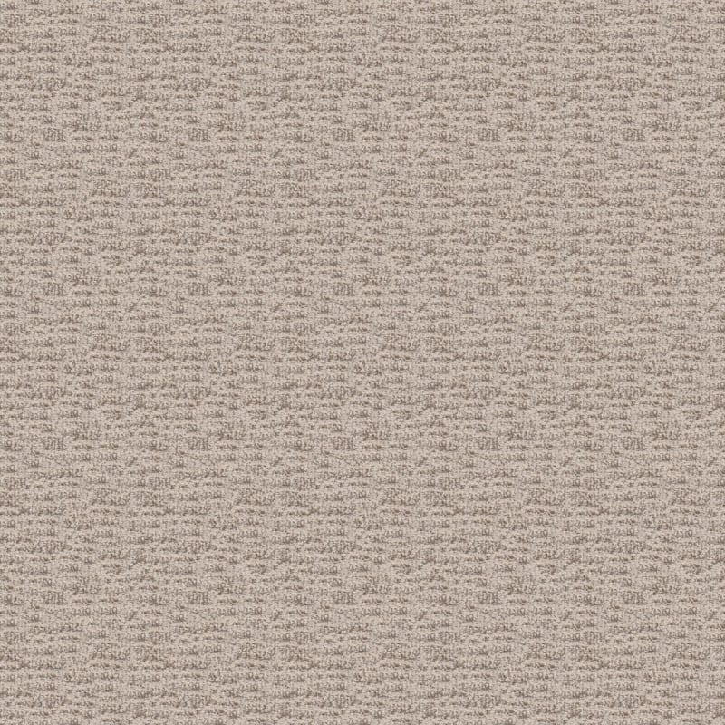 Expressions carpet by Dixie Home