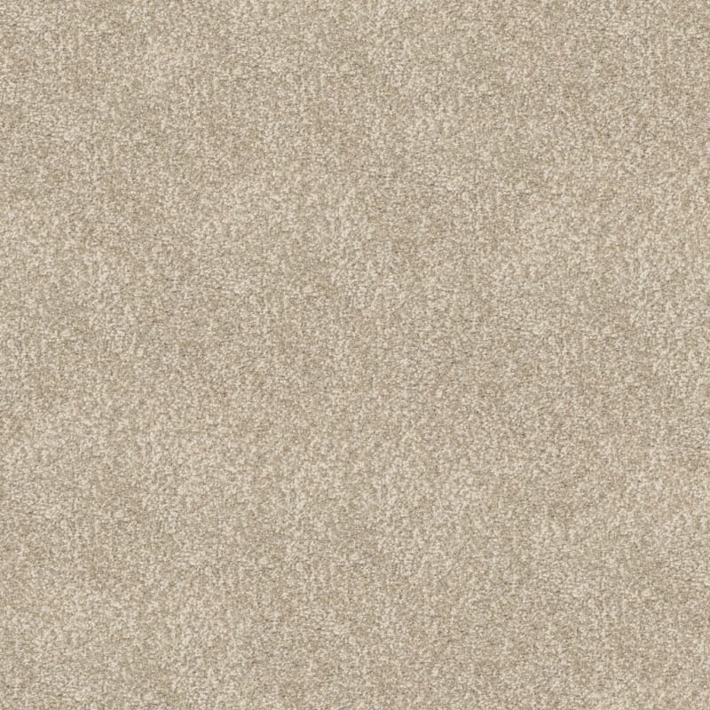 Spring Fling carpet by Dixie Home