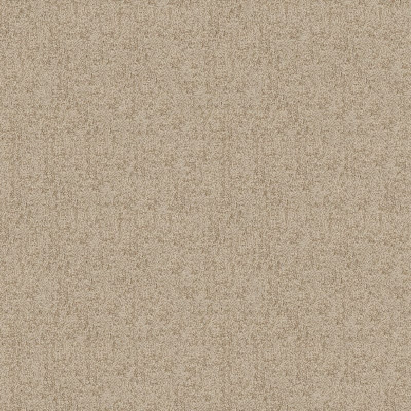 Authentic carpet by Dixie Home