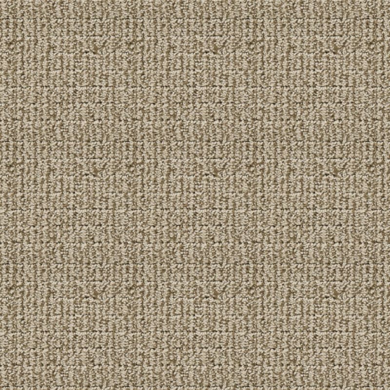 Modern Art carpet by Dixie Home