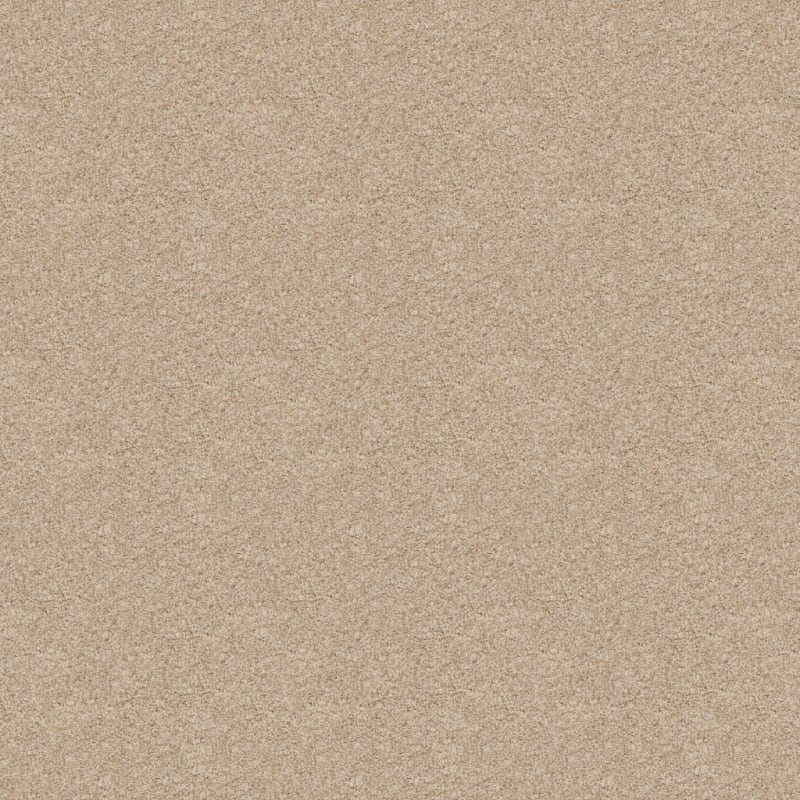 Shepherd carpet by Dixie Home