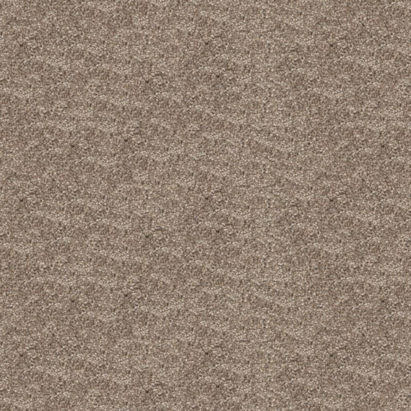Dx169 carpet by Dixie Home
