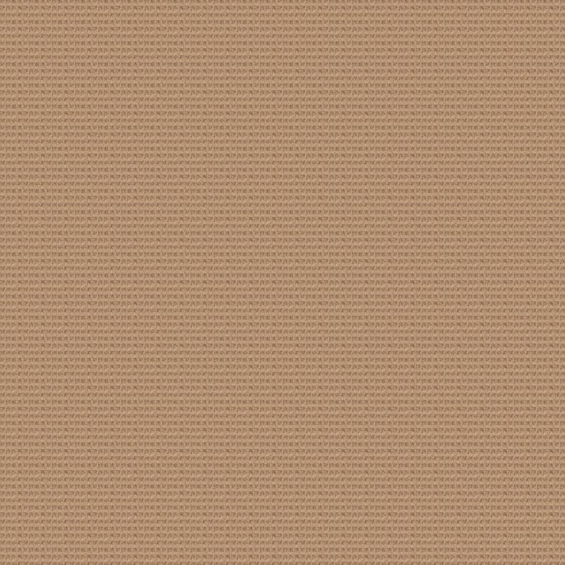 Rock Creek carpet by Dixie Home