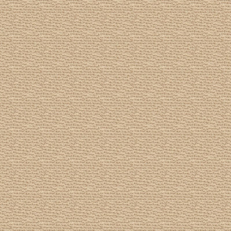 Expressions carpet by Dixie Home