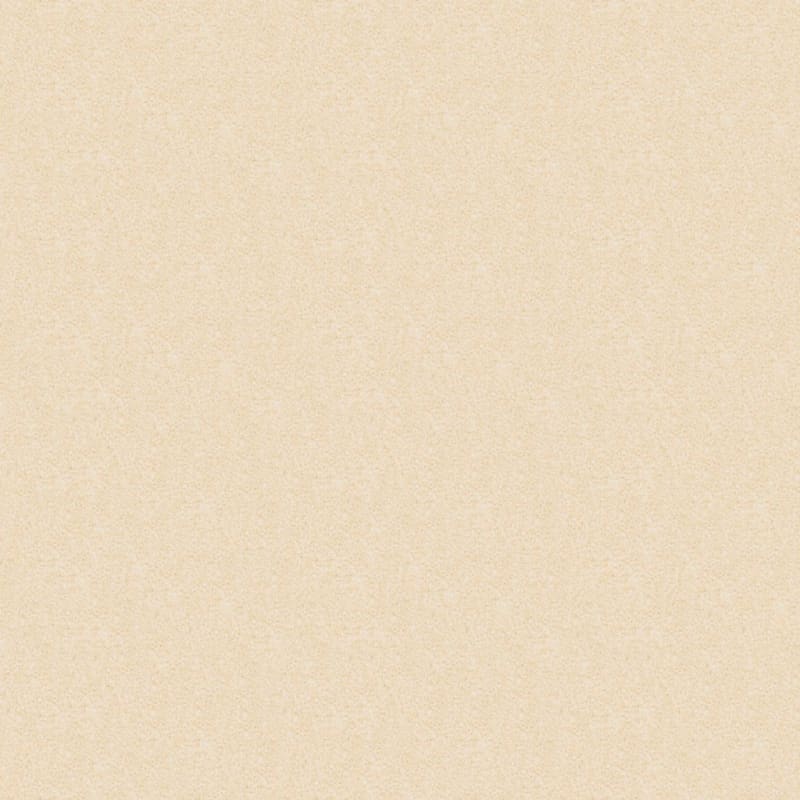 Delight carpet by Dixie Home